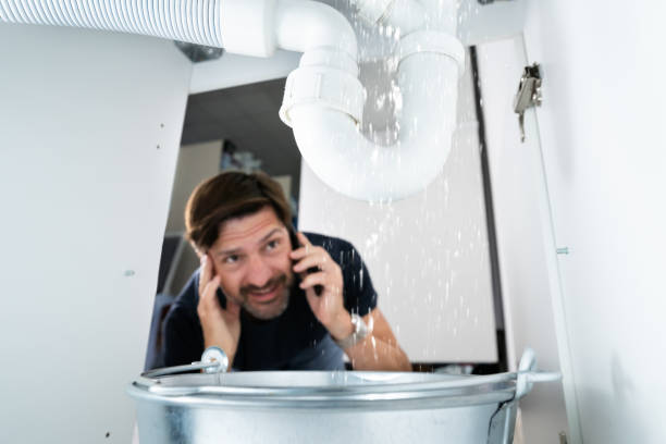 Best Clogged Drain Plumber  in Rock Port, MO